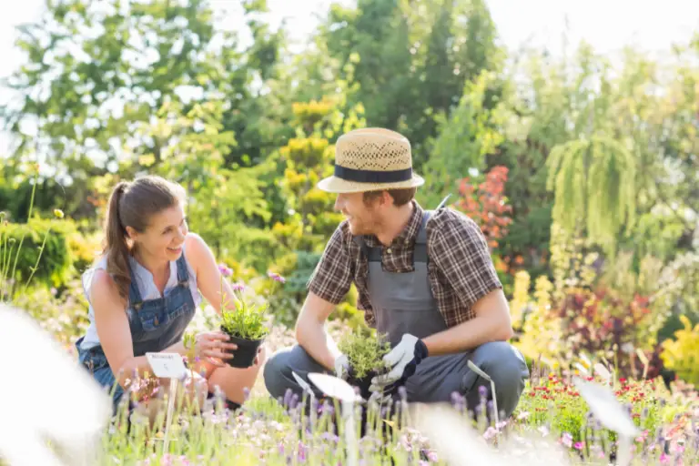 Garden Consultation