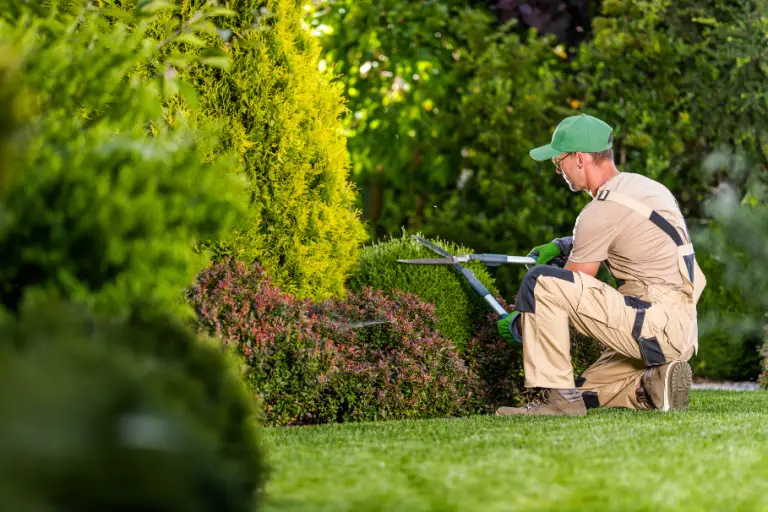 Garden Maintenance