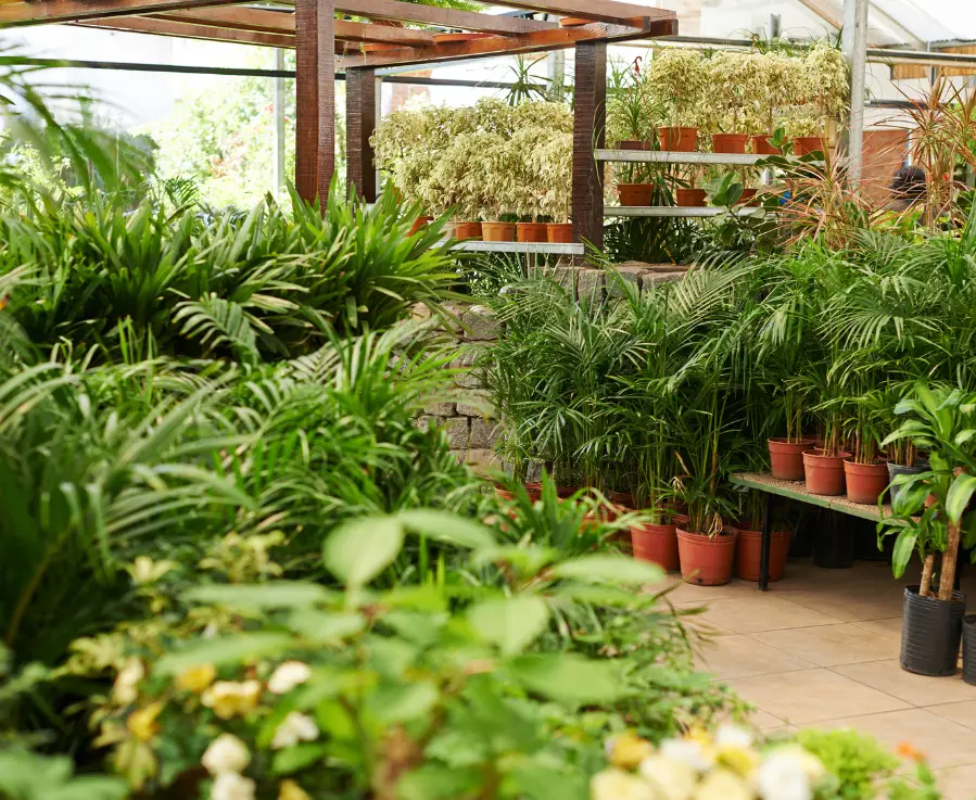 Plant Selection